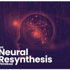 Neural Resynthesis