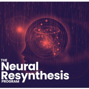 Neural Resynthesis